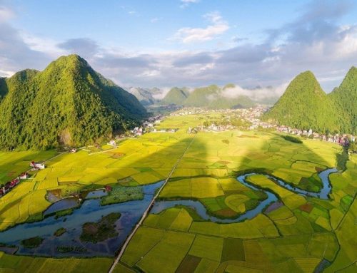 Bắc Sơn sắp có tuyến đường kết nối Quỳnh Sơn với rừng nghiến nguyên sinh Đông Đằng